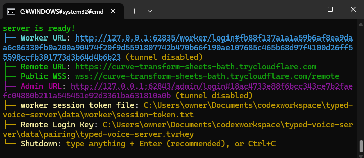 typed-voice-server起動時のターミナル表示
